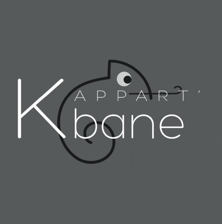 L'appart K-ractere- City, Cosy Et Design Pour 4 Pers * Le Mans